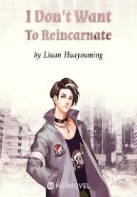 I Don't Want To Reincarnate